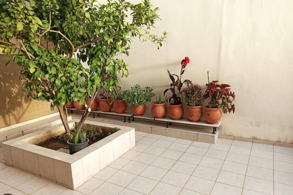 Jilda S Apartment With Private Garden! Nafplio Exterior foto